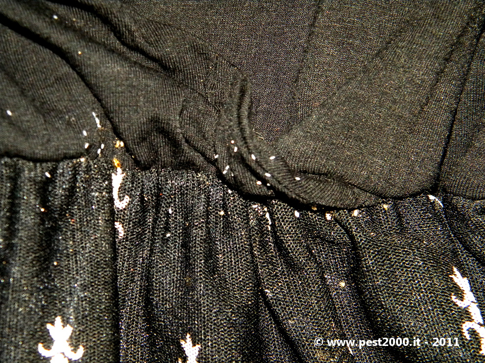 Eggs on clothes 3 Eggs on clothes 3