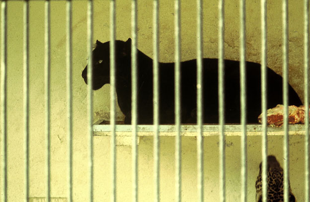 C''era una volta... e per fortuna non c''è più